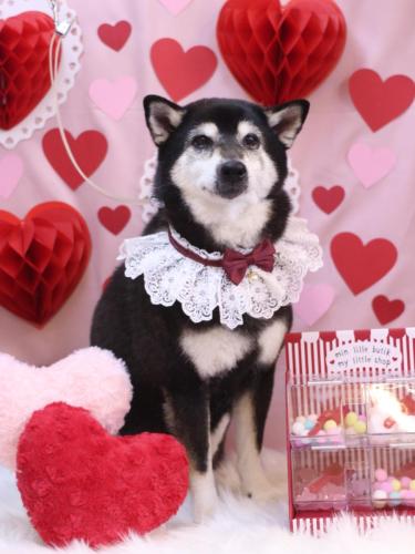 20240201ひめちゃん